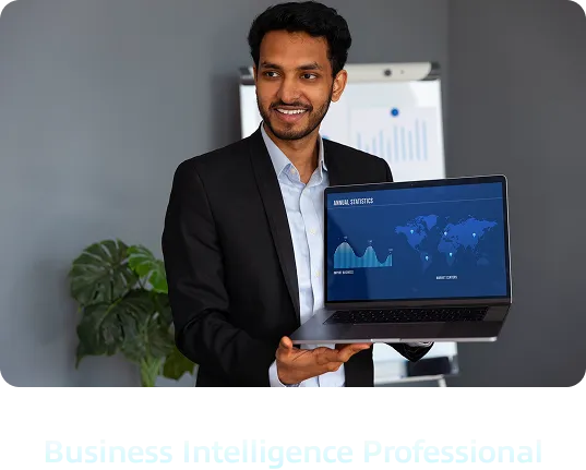 Business Intelligence Professional