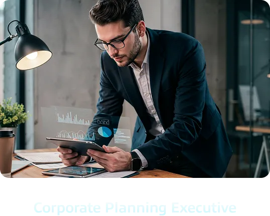 Corporate Planning Executive