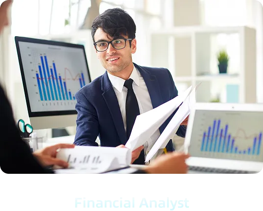 Financial Analyst